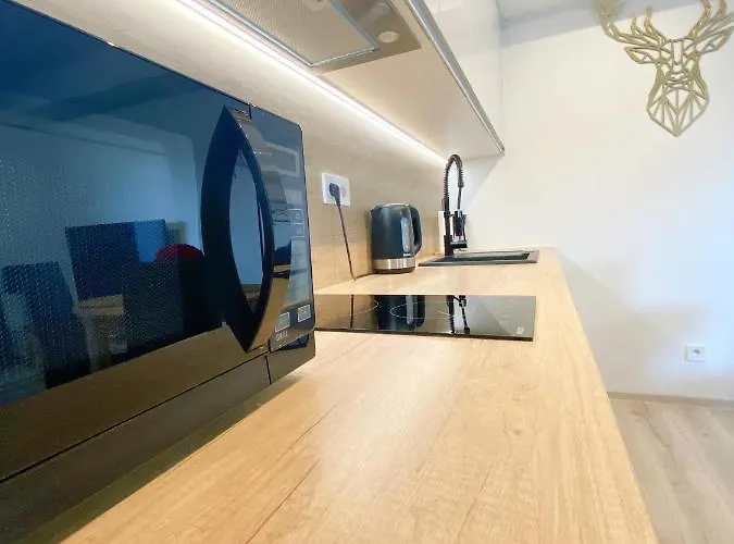 Apartament Zloty Jelen - Z Kominkiem - Scisle Centrum Miasta- Sauna - Widok Na Gory Schreiberhau